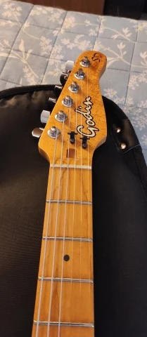 Godin SD24