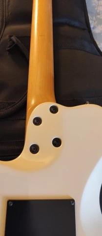 Godin SD24