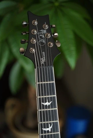 PRS Mark Holcomb SVN