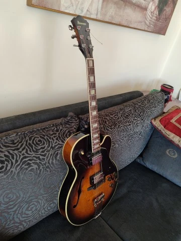 Ibanez FG100