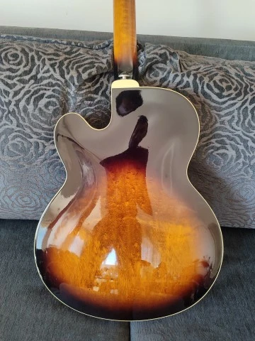 Ibanez FG100