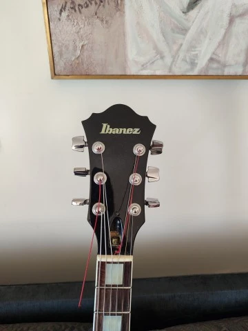 Ibanez FG100