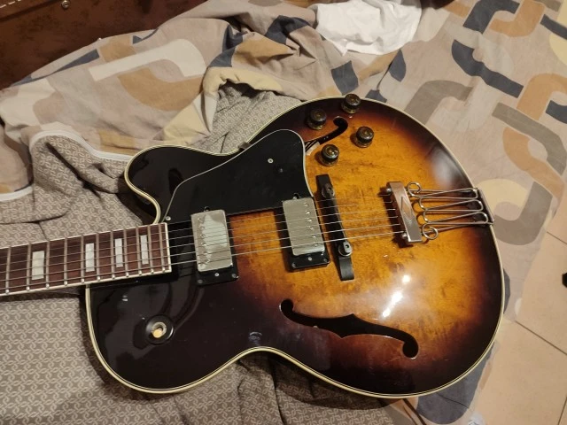 Ibanez FG100