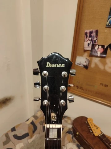 Ibanez FG100
