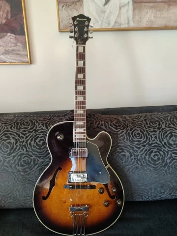 Ibanez FG100