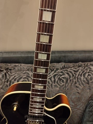 Ibanez FG100