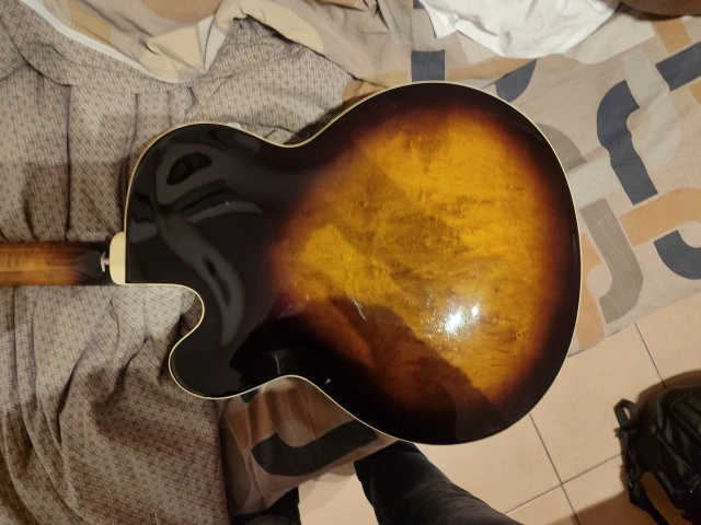 Ibanez FG100