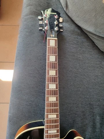 Ibanez FG100
