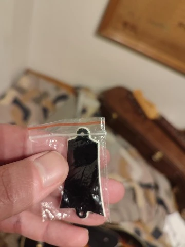Ibanez FG100