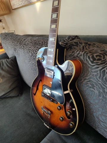 Ibanez FG100