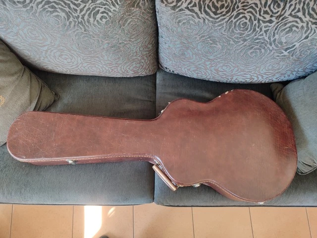 Ibanez FG100
