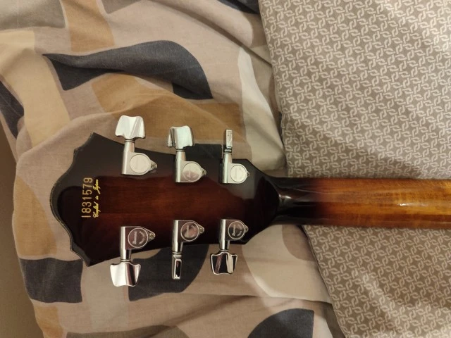 Ibanez FG100