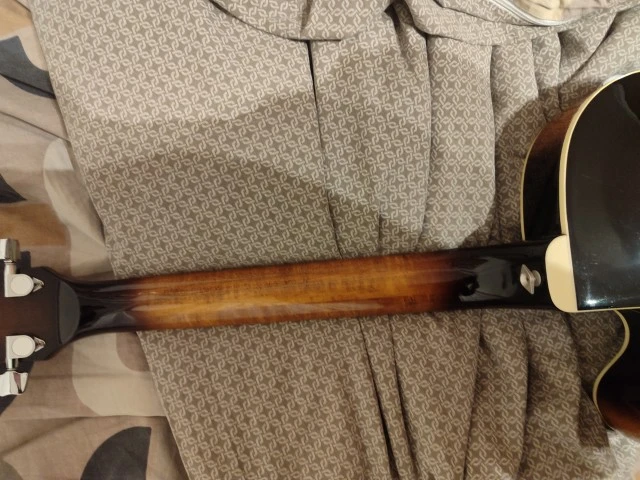 Ibanez FG100