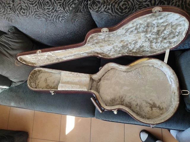 Ibanez FG100