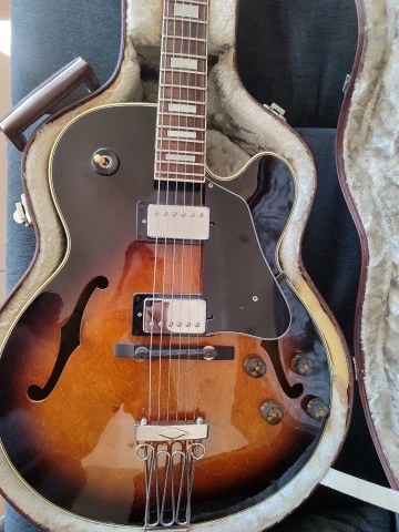 Ibanez FG100
