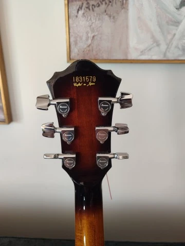Ibanez FG100