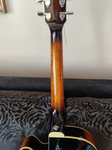 Ibanez FG100