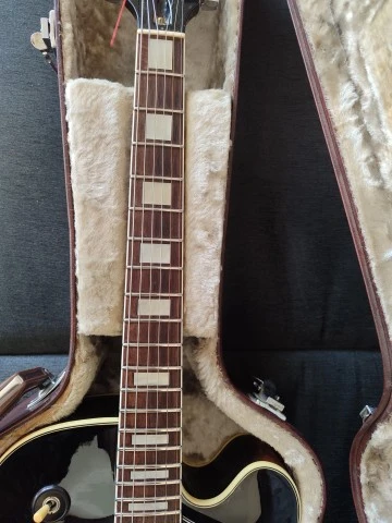 Ibanez FG100