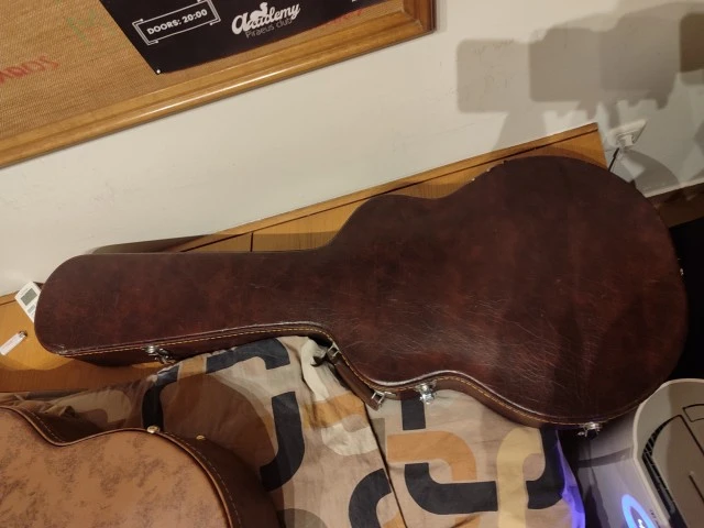 Ibanez FG100