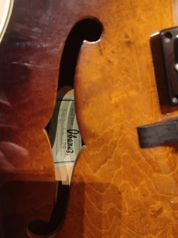 Ibanez FG100