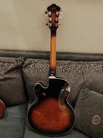 Ibanez FG100