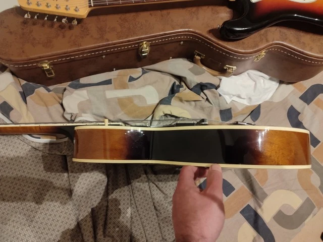 Ibanez FG100
