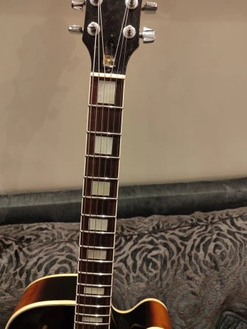 Ibanez FG100