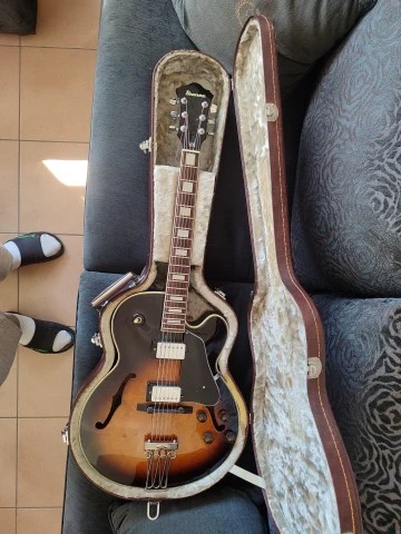 Ibanez FG100