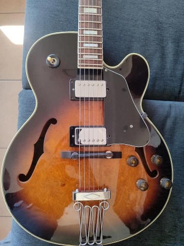 Ibanez FG100
