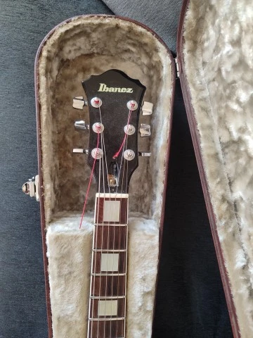 Ibanez FG100
