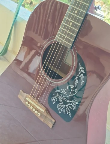 Epiphone Starling wine red