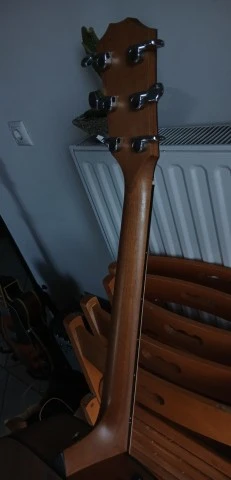 Taylor 110