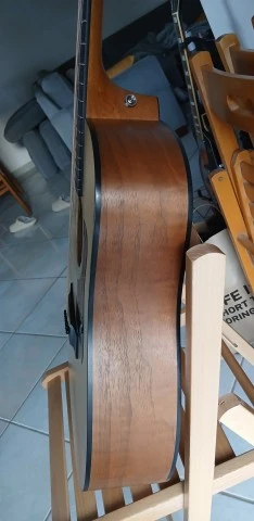 Taylor 110
