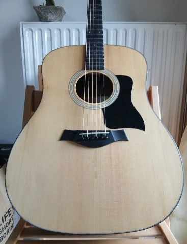 Taylor 110