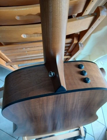 Taylor 110