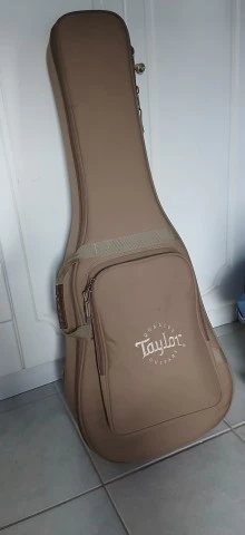 Taylor 110