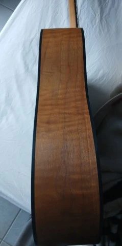Taylor 110