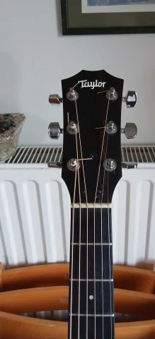 Taylor 110
