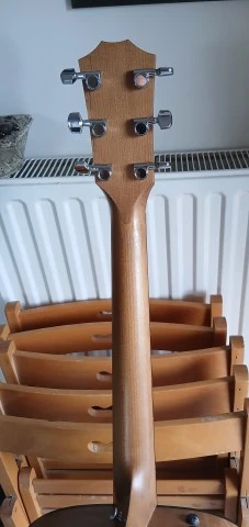 Taylor 110