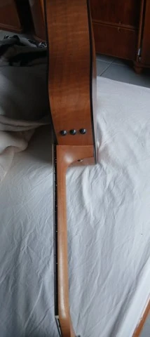 Taylor 110