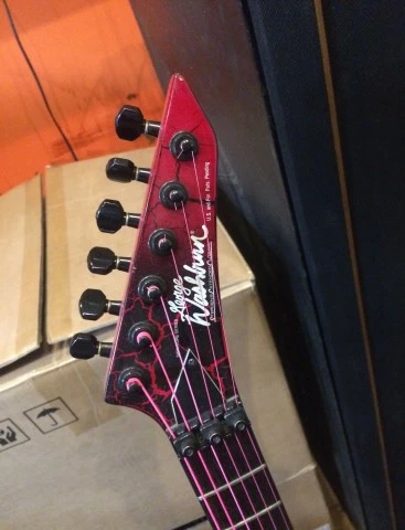 Washburn EC29 Spitfire II Signature Series
