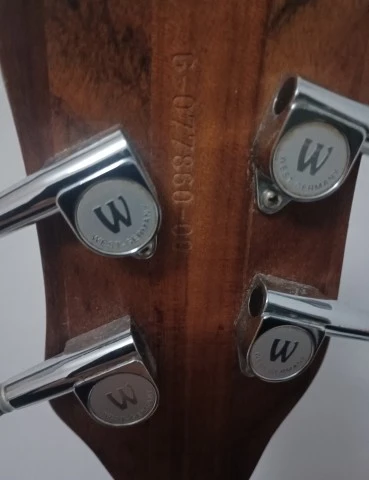 Warwick Streamer Ltd