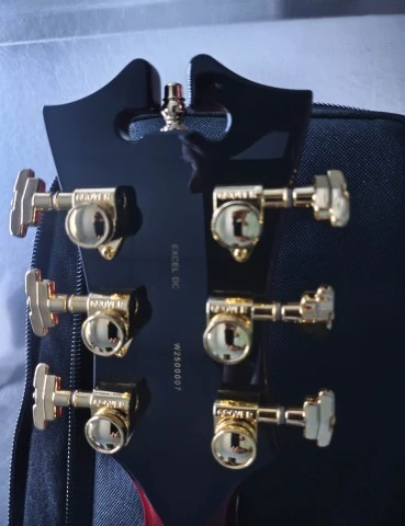 D'Angelico Excel DC
