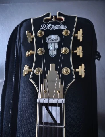 D'Angelico Excel DC