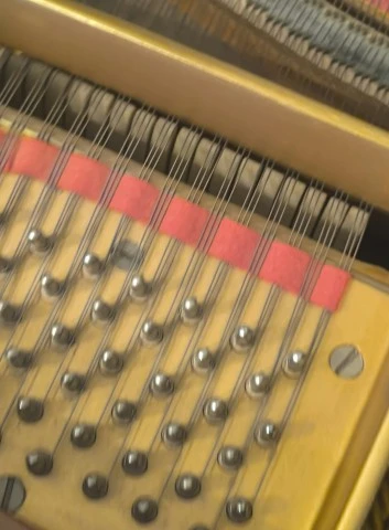 Hupfeld Stutzflügel 140