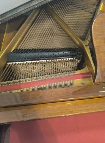 Hupfeld Stutzflügel 140