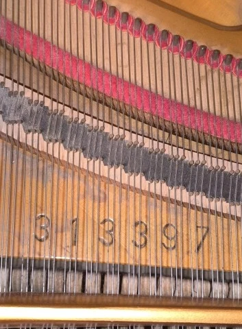 Hupfeld Stutzflügel 140