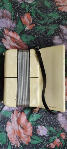 Hohner Student IVM