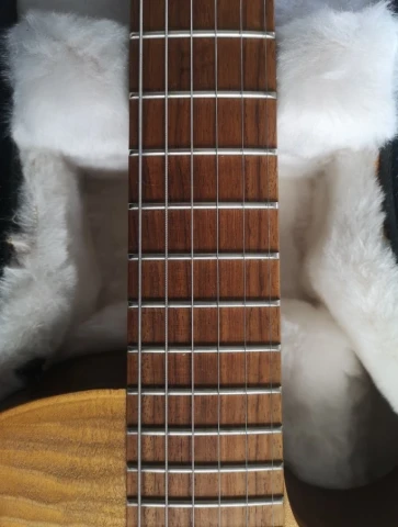 Gibson BFG