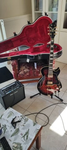 Ibanez AG95QA DBS
